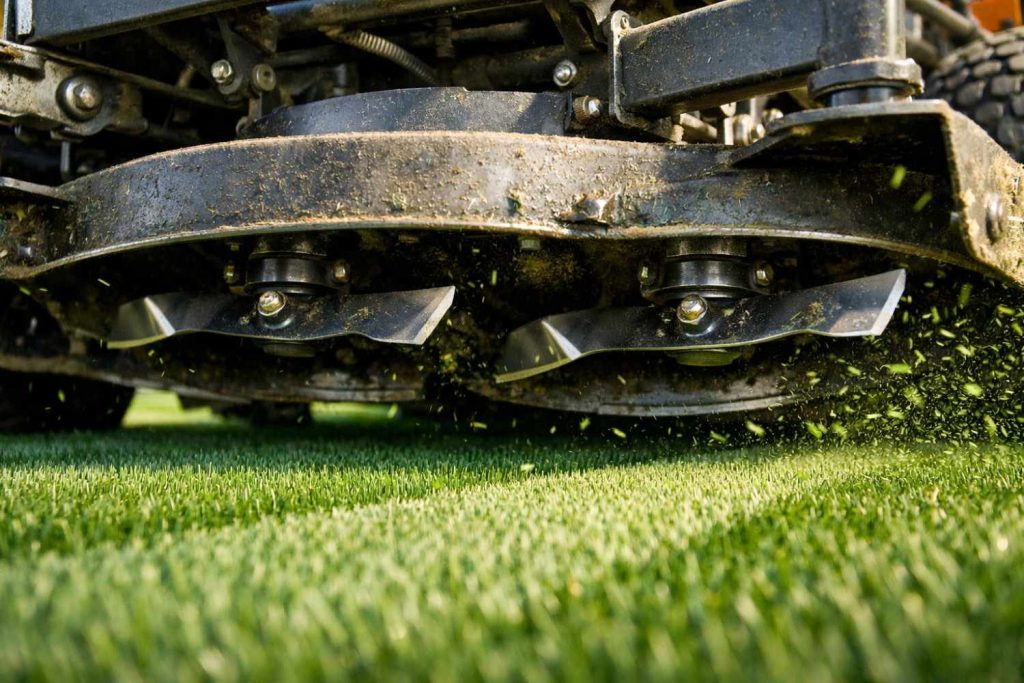 The Right Blades and Deck Care for Thick Louisiana Grass