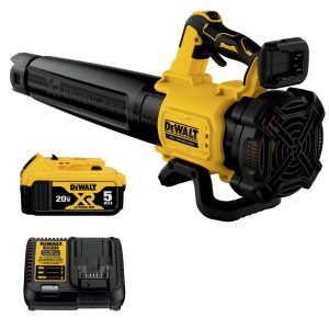 20V MAX* XR® Brushless Cordless Handheld Blower Kit (5.0Ah)