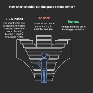 How Short To Cut Grass Before Winter Visual Selection
